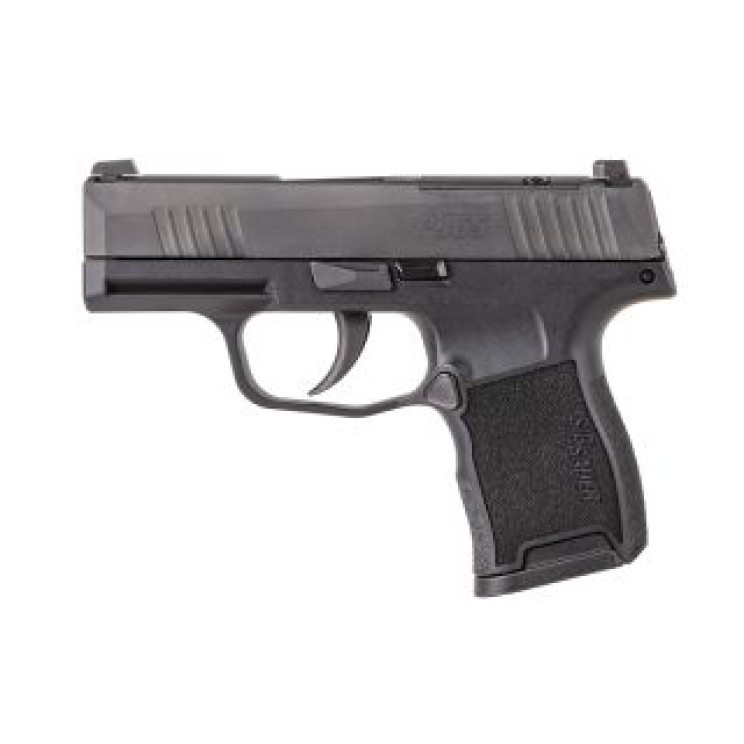 Sig Sauer P365-380 .380AUTO Sig Sauer P365-380 .380AUTO